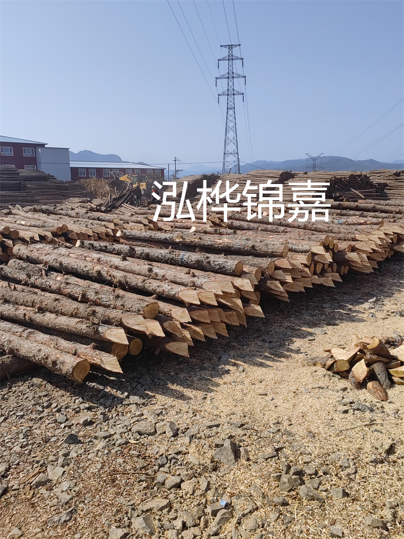 上海河道松木樁施工，打造美麗城市綠色生態環境