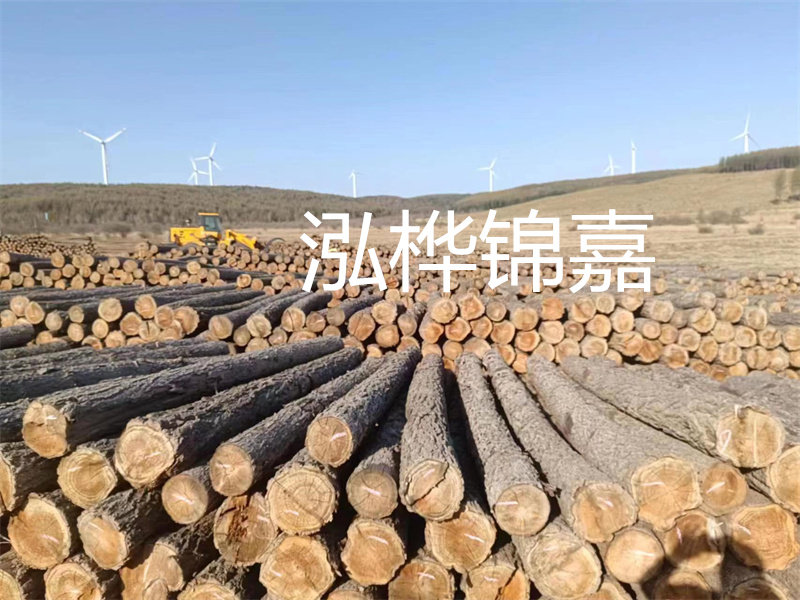 溫州松木樁施工廠家——為您打造堅固穩定的建筑基礎！