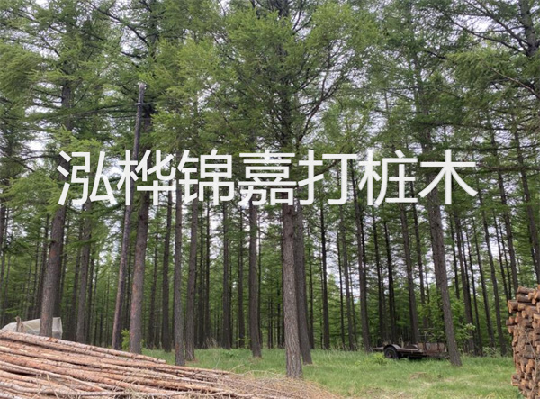 上海圍欄松木樁施工，為你打造安全舒適的園林空間