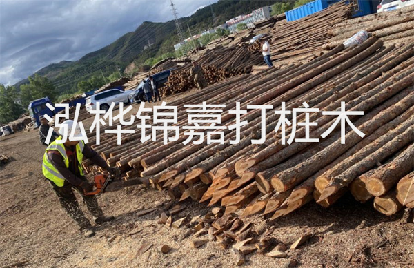 上海護岸松木樁施工，保護城市江岸美景