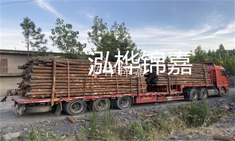 上海護坡松木樁價格多少？從價格、材質、施工等角度分析