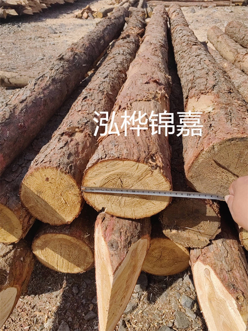 上海護岸松木樁——助力江河湖海保護建設