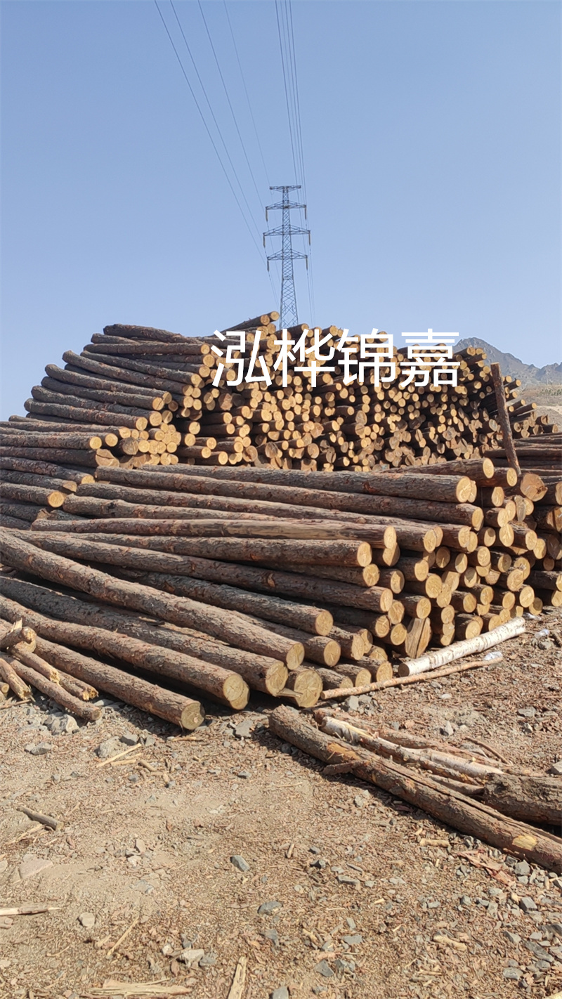 浙江防汛松木樁施工——保障人民生命財產安全的重要舉措
